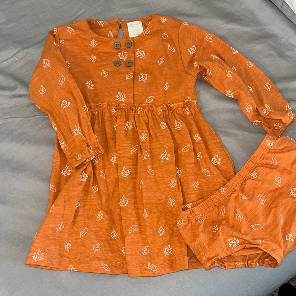 Ettie*H dress - 18-24 month with bloomers